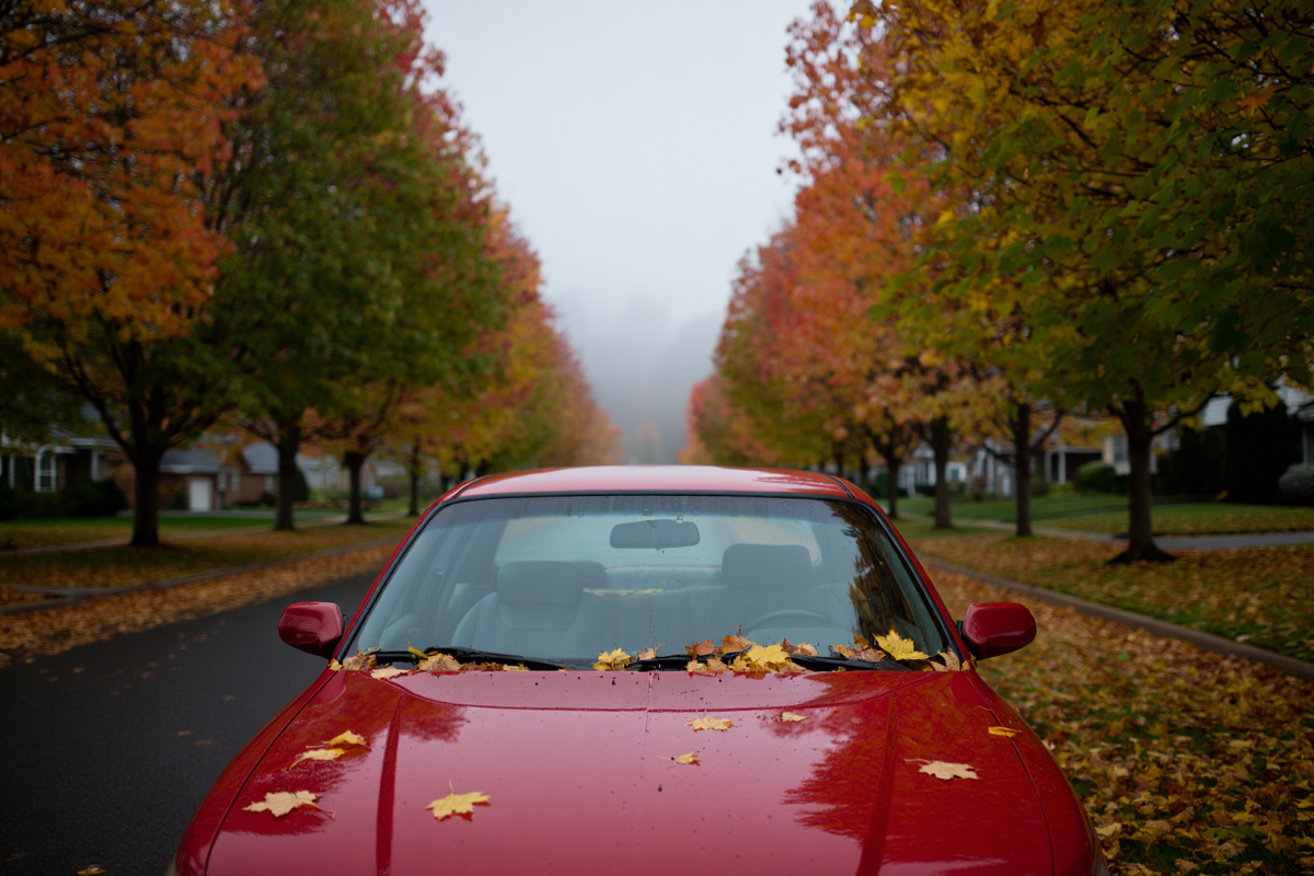 Автомобиль требует постоянного  ухода, но отвечает хорошей работой.