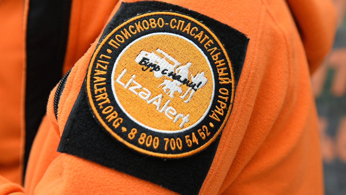    ЛизаАлерт РИА