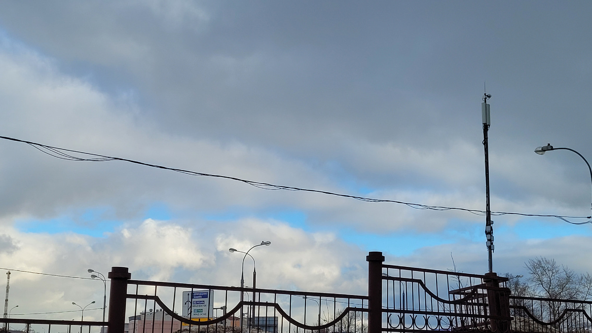 Просветы неба голубого.