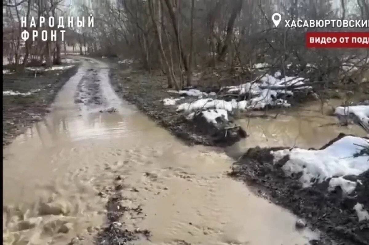    В Хасавюрте сточные воды 10 лет отравляют местный лес
