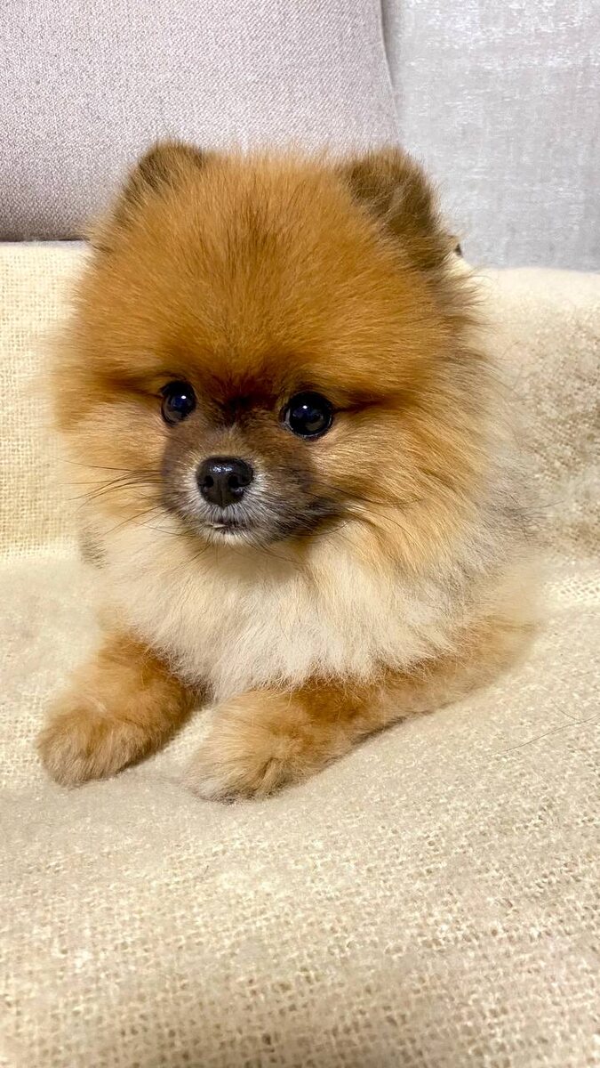  Майкл бодрствует и шлёт всем привет !