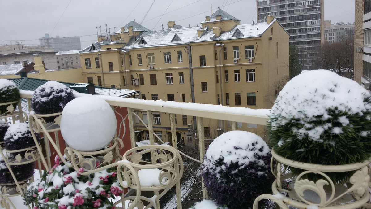 еврейский ресторан.