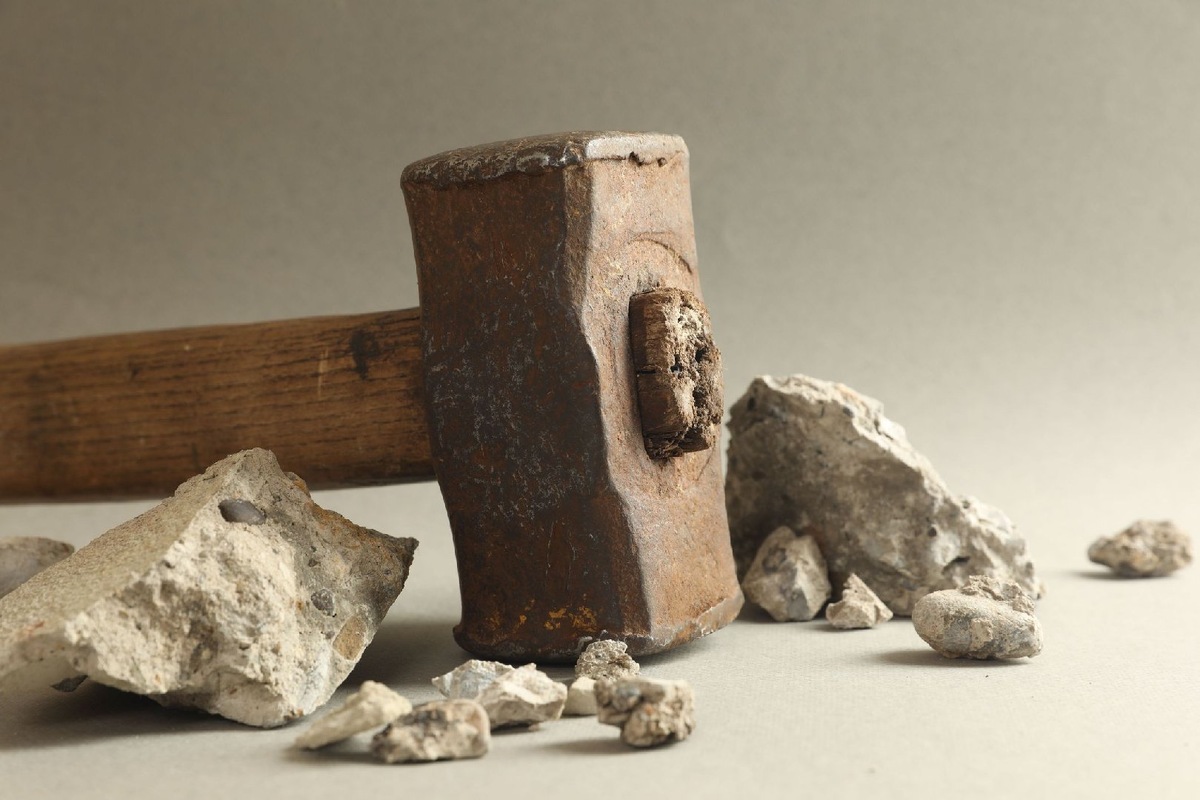    Фото: Istock/Liudmila Chernetska