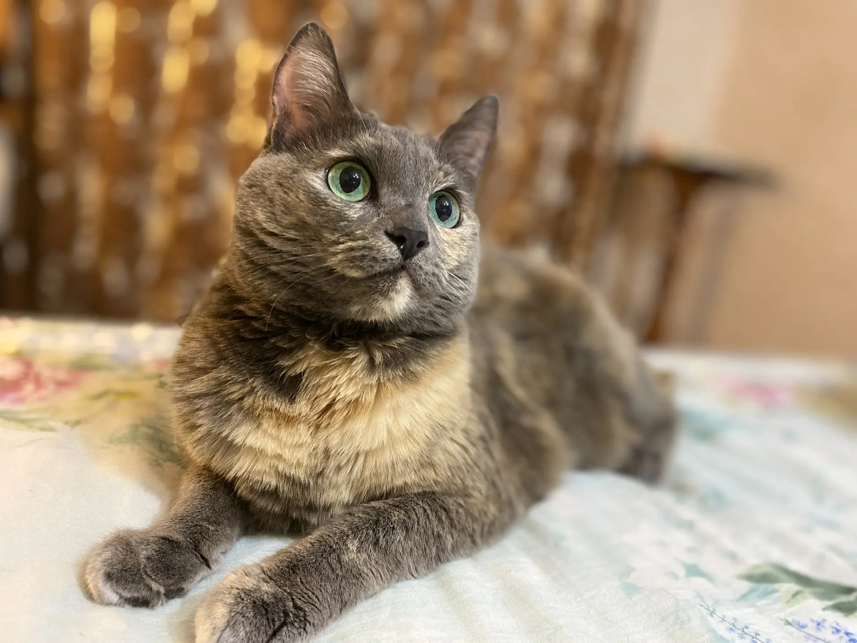 Сама красота и грация 😍