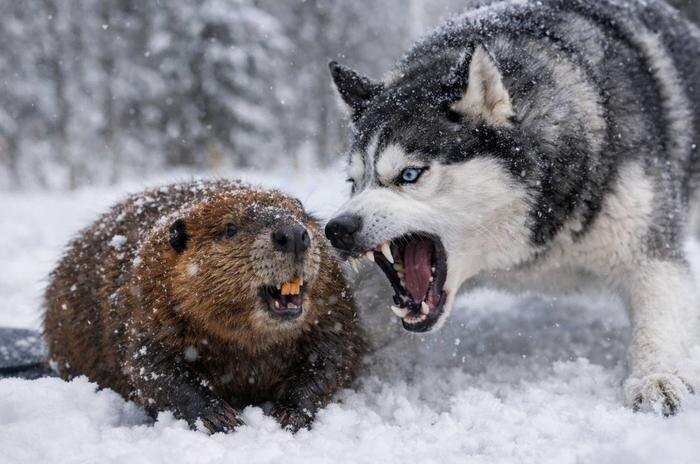 Обложка © Сhat GPT