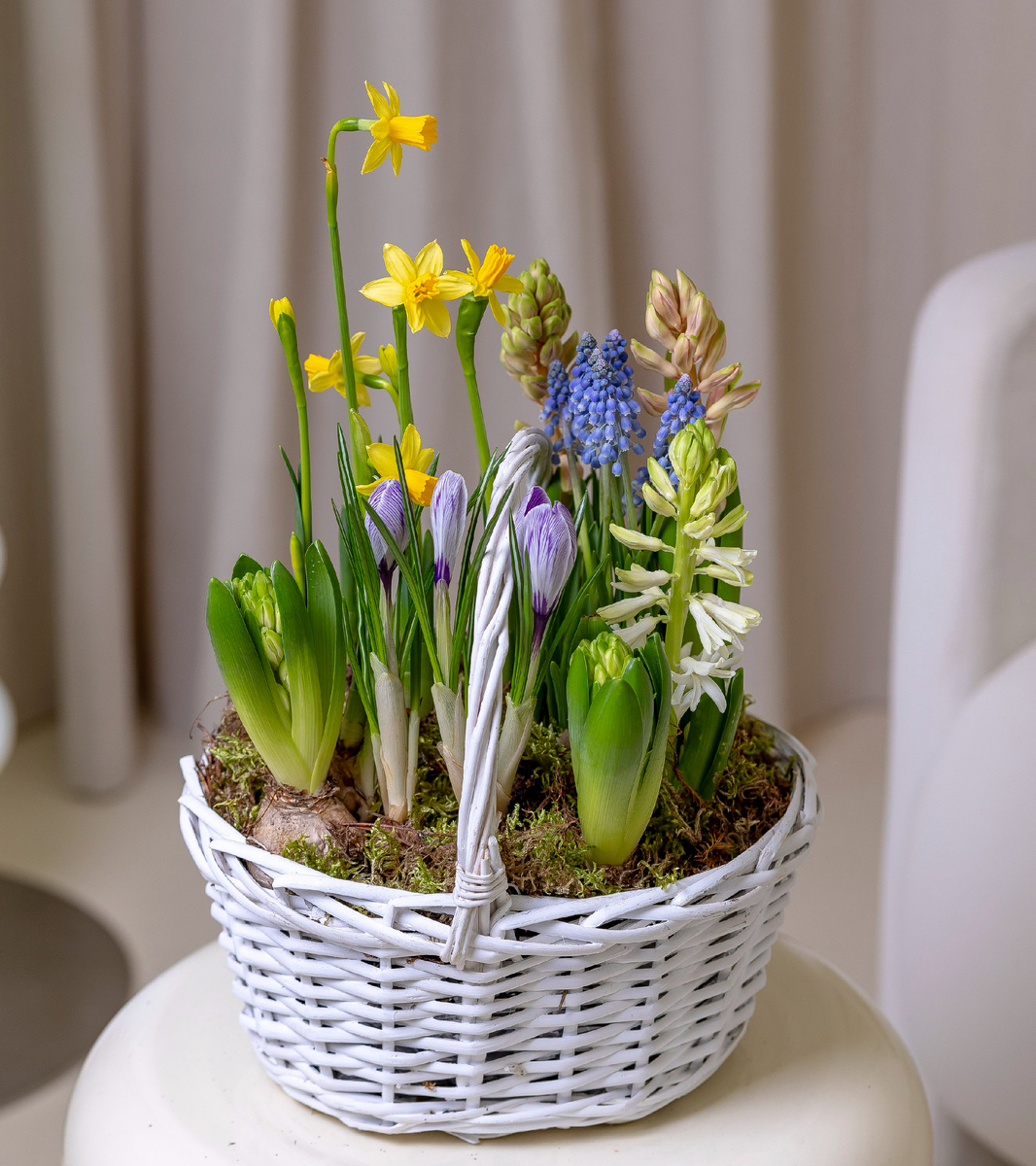 фото из интернета