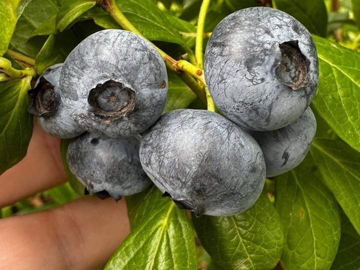 Приветсвуем наших подписчиков