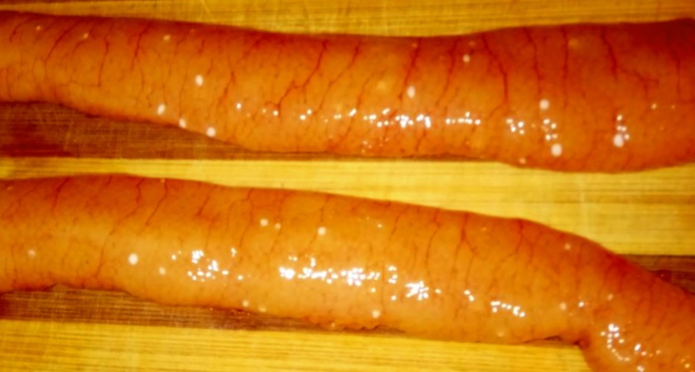 Икра щуки с белыми пятнами и больная рыба: что опасно есть и как проверить щуку за 5 минут до готовки