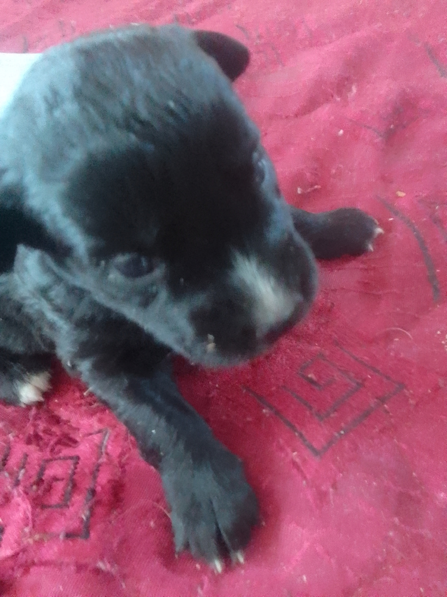 Динка совсем маленькая 