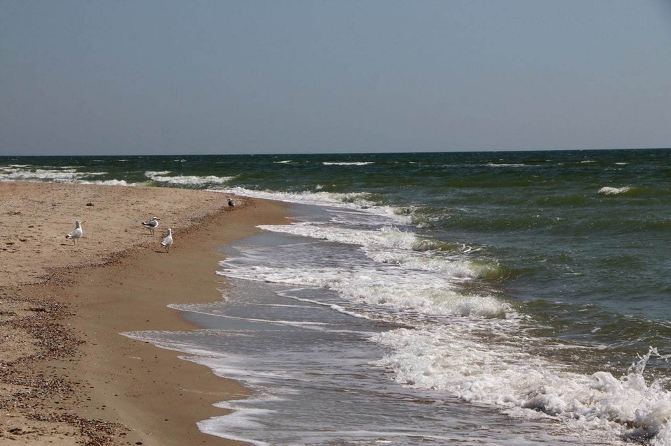    ДНР задействует бальнеологические ресурсы Азовского моря для развития туризма. Фото: Министерство спорта и туризма ДНР