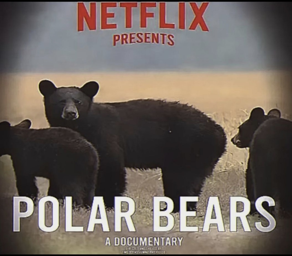 Источник Яндекс картинки