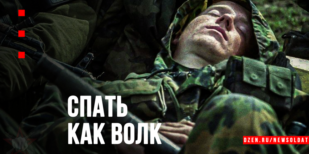 Спать как волк: методика полифазного сна для тех, кому не хватает времени