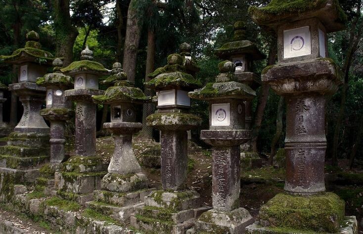 Фото из открытых источников.