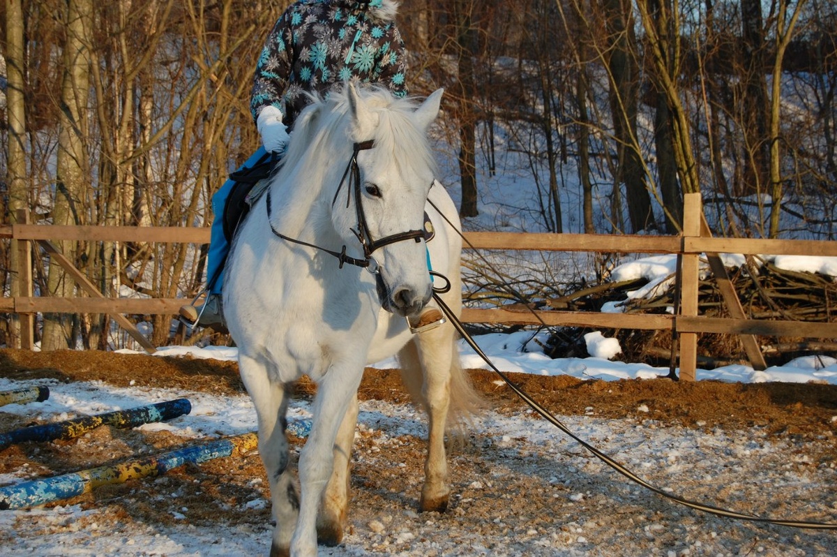 Пельмень. Листайте, там еще есть фото
