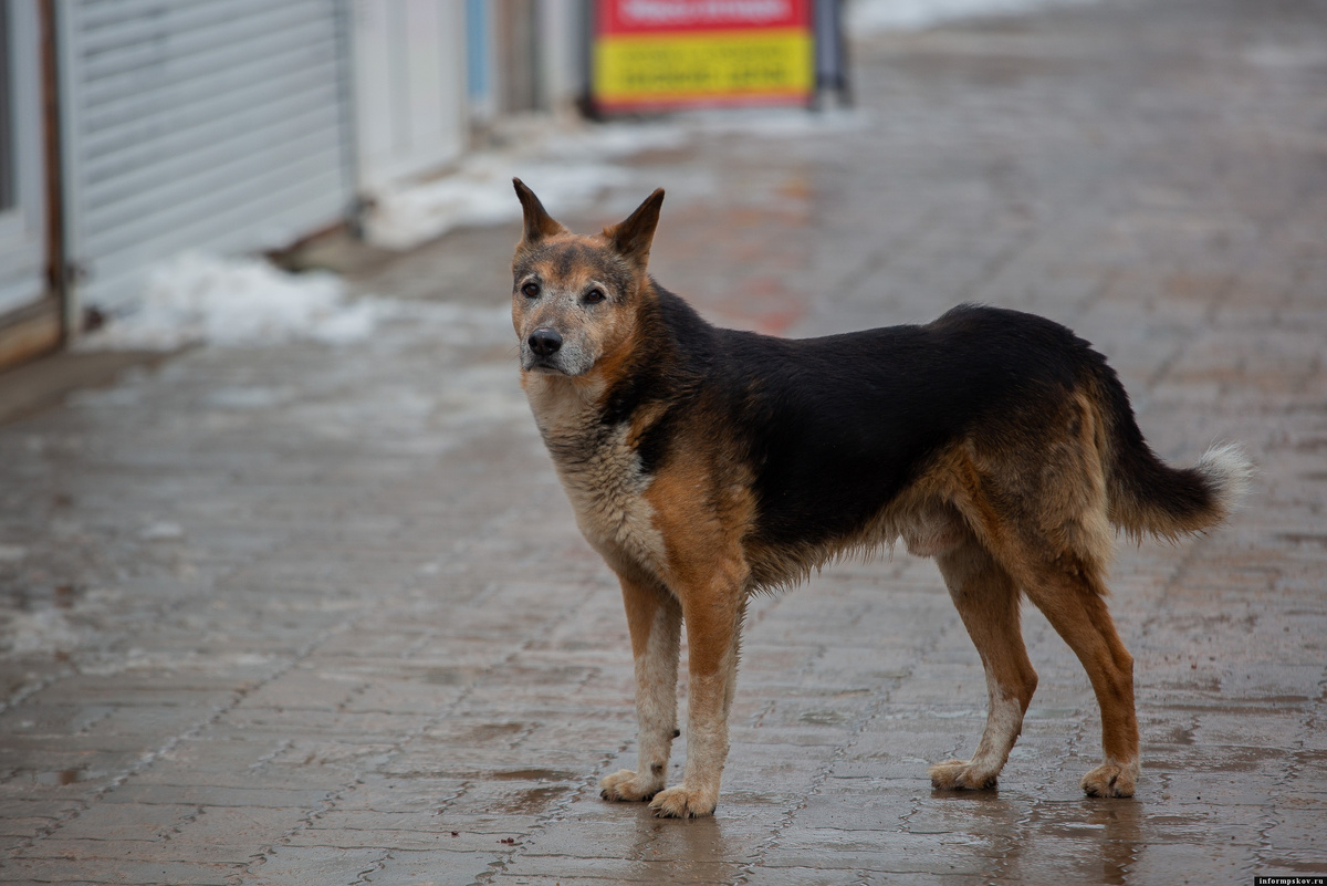 Фото носит иллюстративный характер. Фото: ПАИ