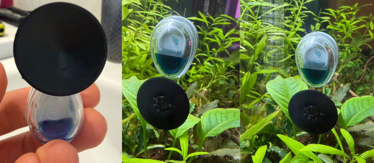 Слева направо : фото 1 - 28 февраля, фото 2 - 02 марта, фото 3 - 3 марта