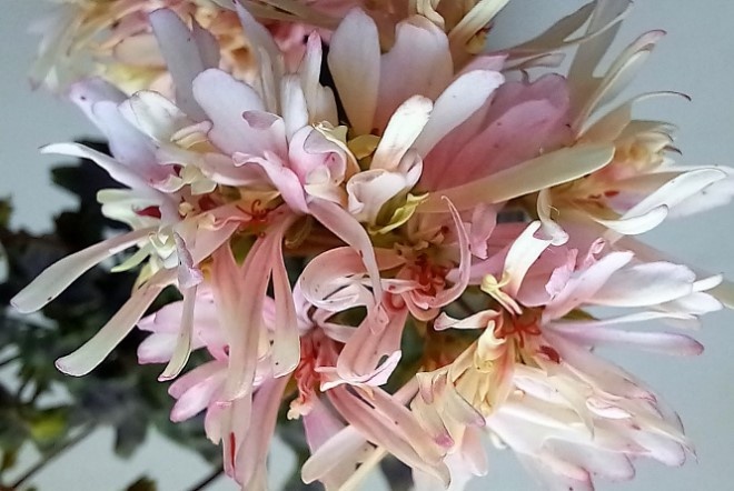 Вид на неё же сверху