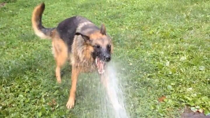 Картинка из открытых источников