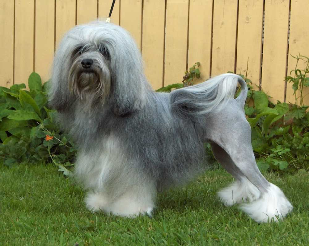 Картинка из открытых источников 