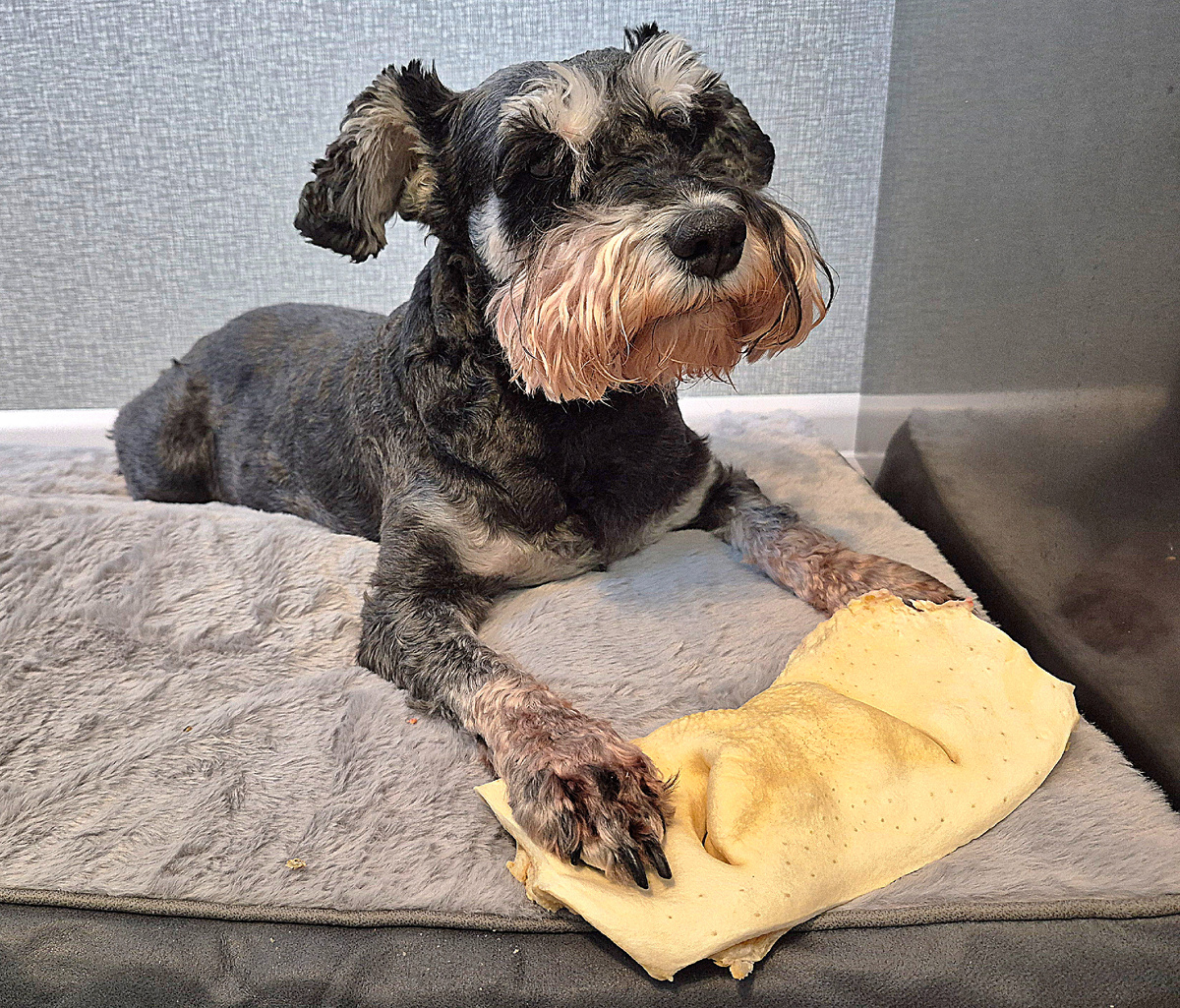 Джесси с подарком