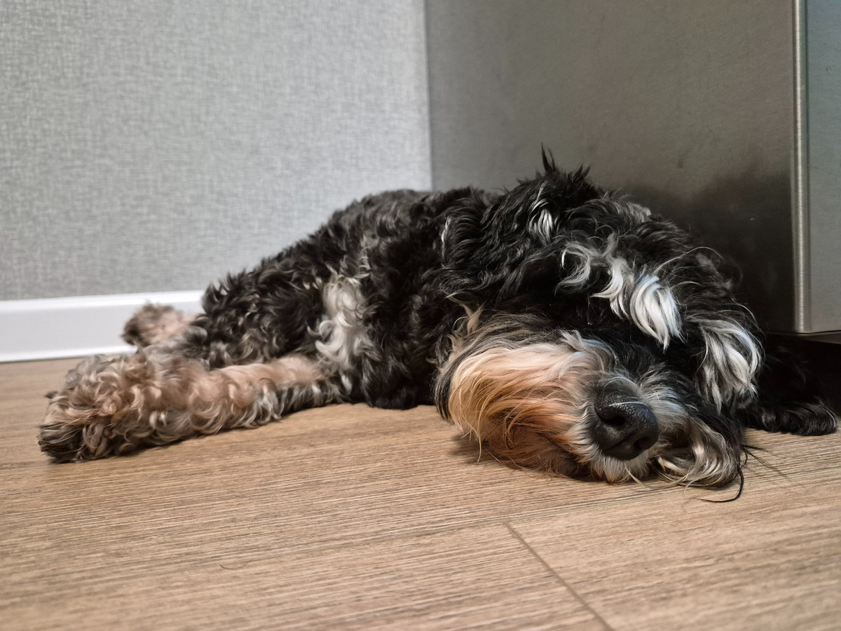 На страже холодильника