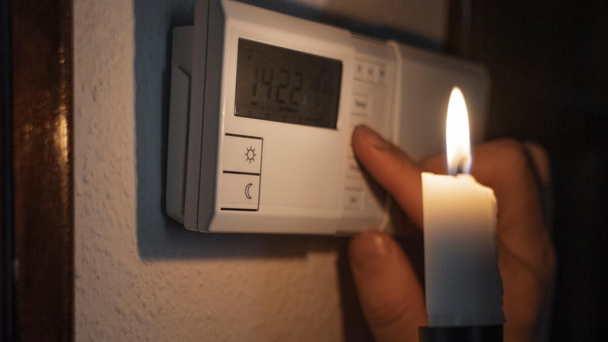    Фото: freepik.ru