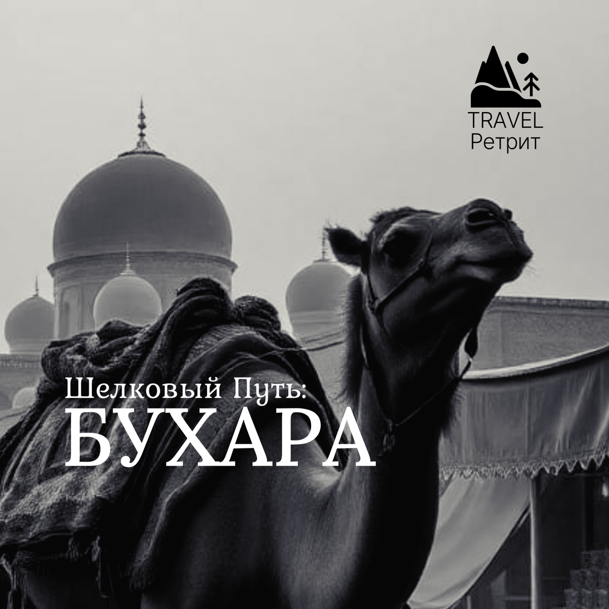 Трэвел-Ретрит 21-28 апреля | Маршрут: Хива - Бухара - Самарканд