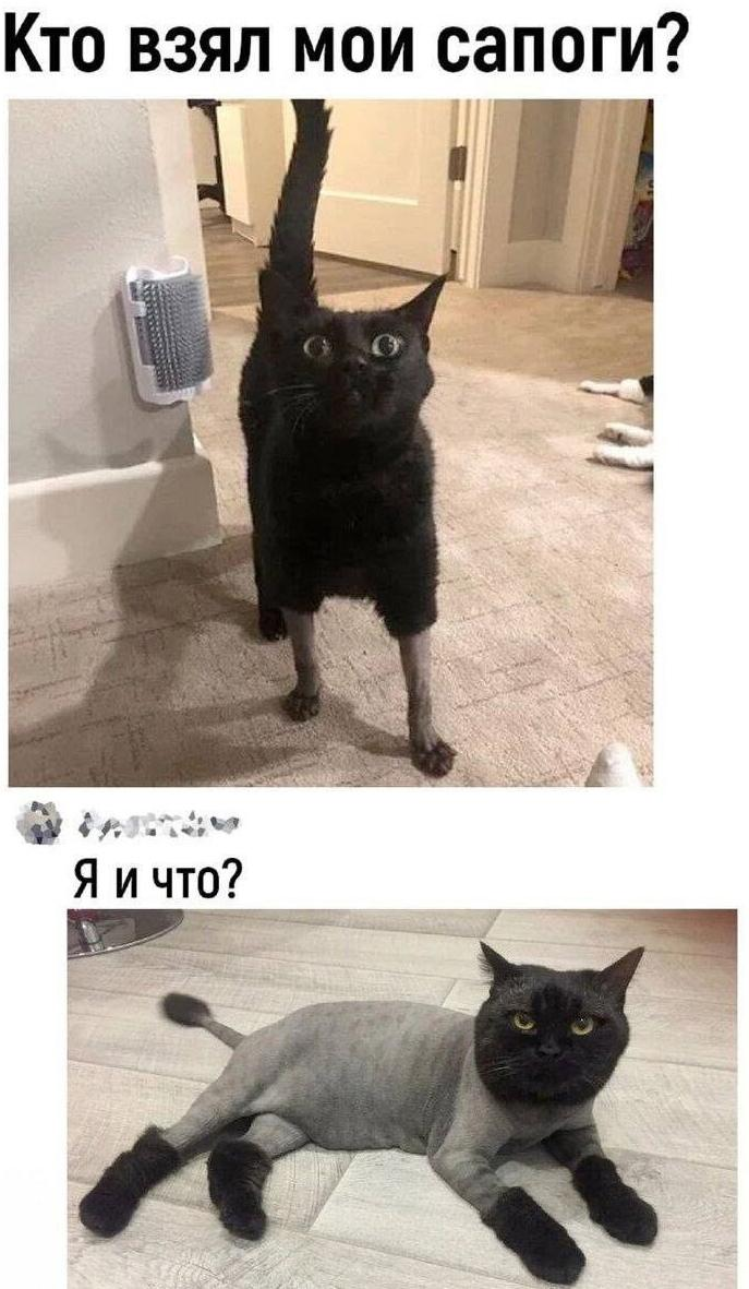 Картинка взята из открытого доступа в сети Интернет