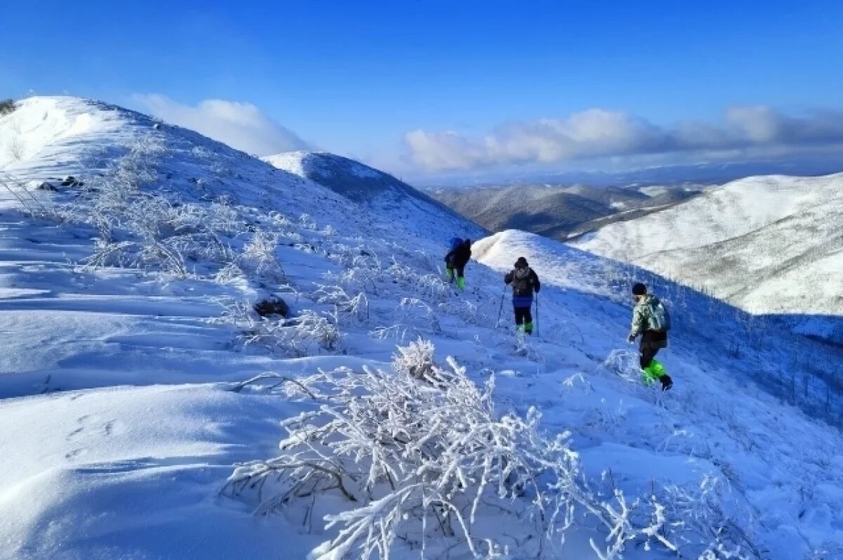    Порывы ветра и легкий снег: какая погода 4 марта в Хабаровском крае