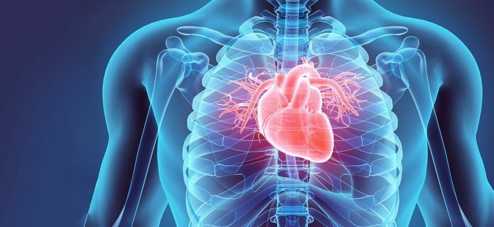 Три скрытых сигнала болезни сердца которые часто игнорируют