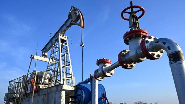    © РИА Новости . Максим Богодвид