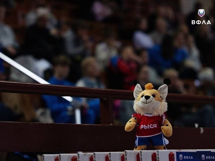     Фото: пресс-служба ВФЛА