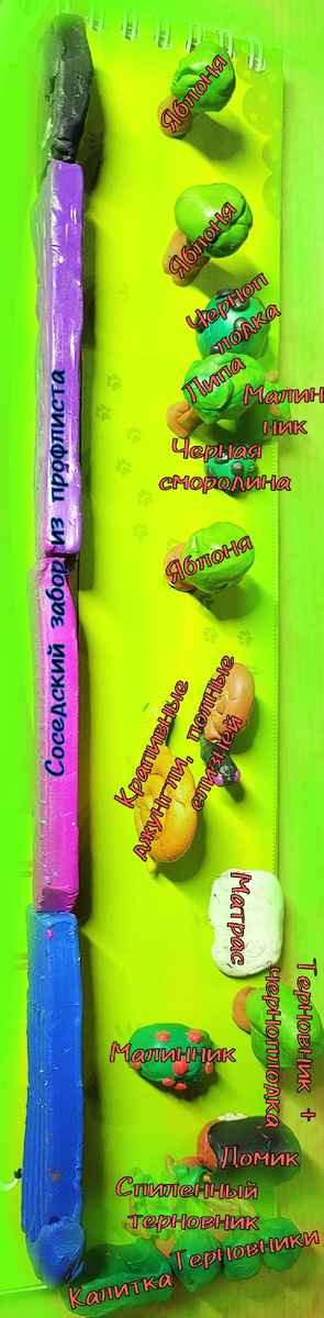 План участка, вылепленный ребенком из пластилина, в настоящих пропорциях. Дзен безбожно урезает качество изображения, простите 🤷‍♀️