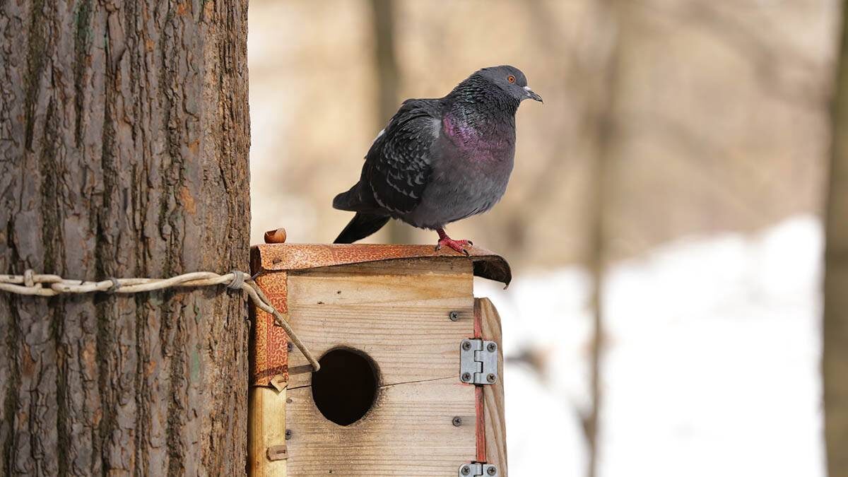    Фото: Анатолий Цымбалюк / Вечерняя Москва