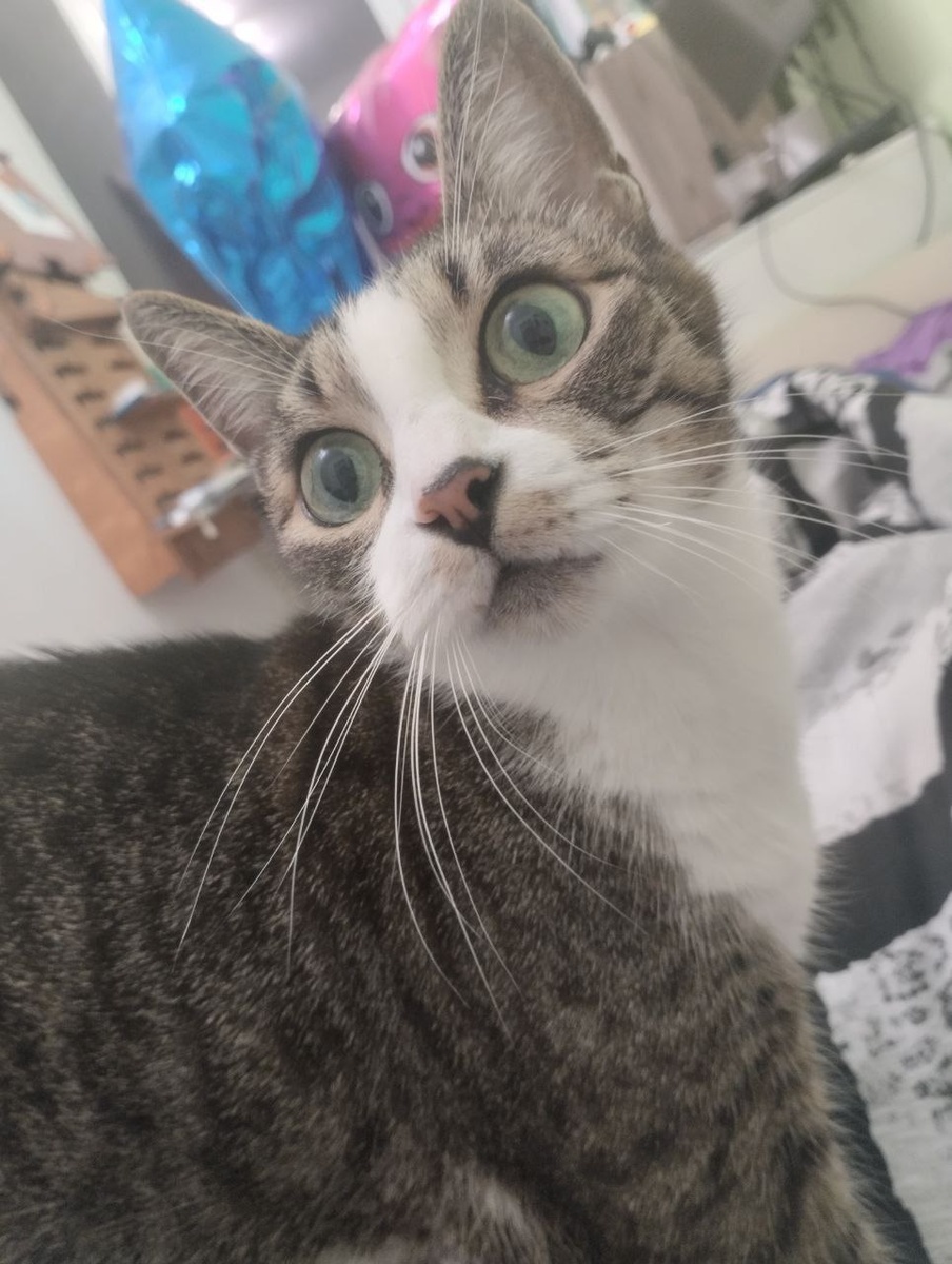 Кофе, чай - не забудьте налить перед прочтением! 