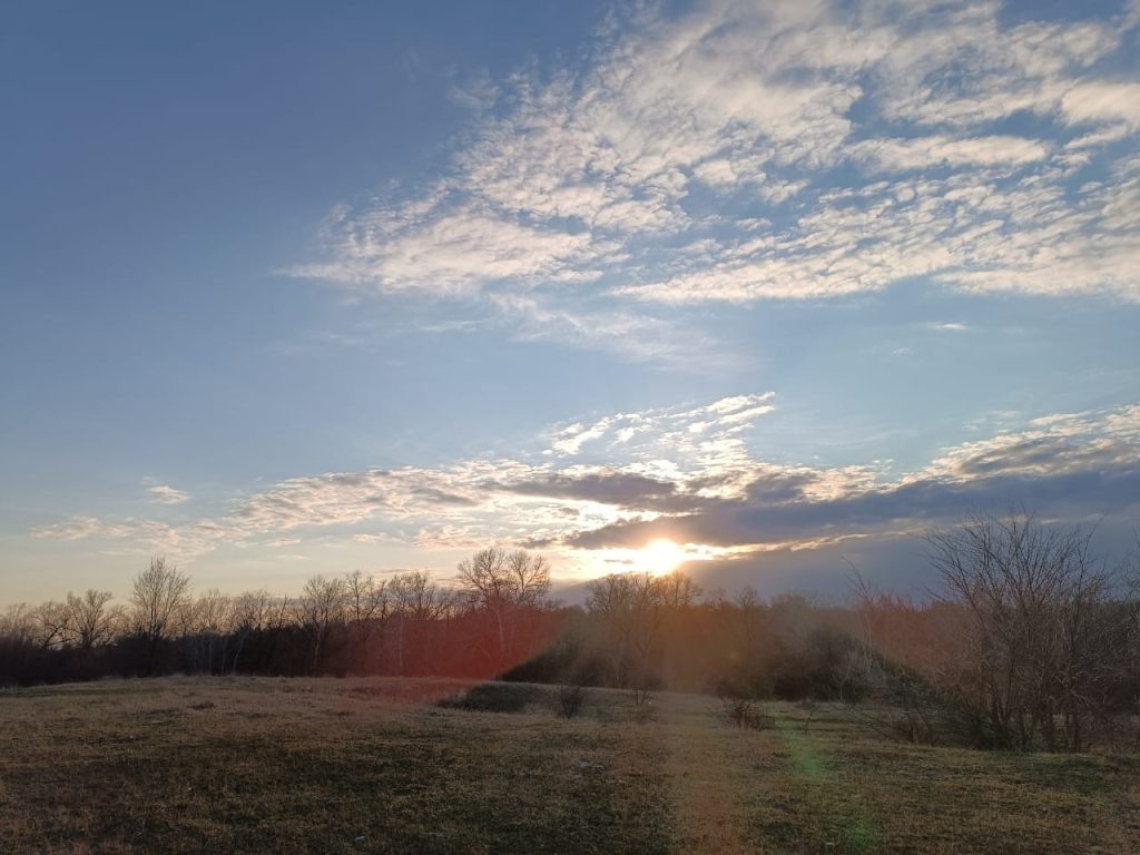    Фото: М. Савельева. Галина Ященко