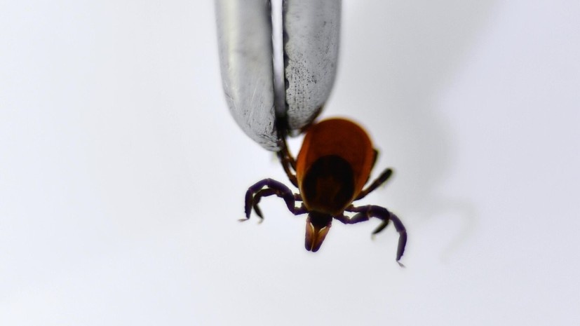   РИА Новости