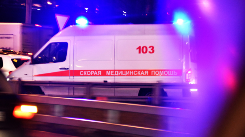    Фото: © РИА Новости/Наталья Селиверстова