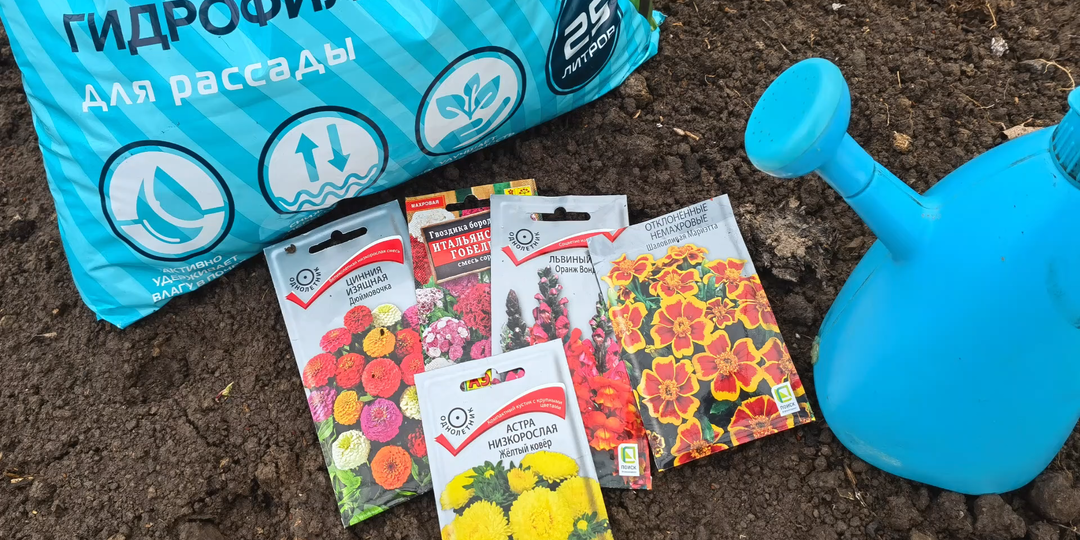 Эти цветы сею в теплице без рассады на подоконниках и получаю крепкие, дружные всходы