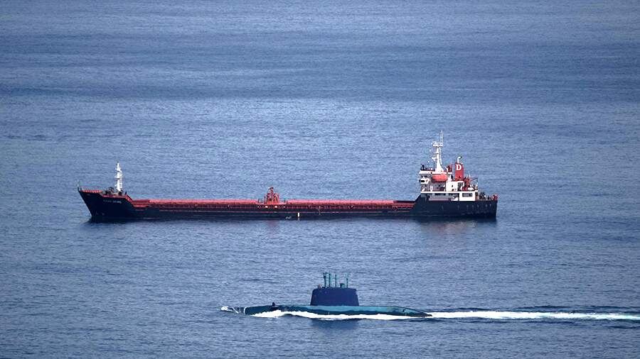    Фото: TASS/AP/Leo Correa