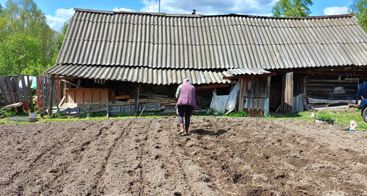    Фото: ПроГород