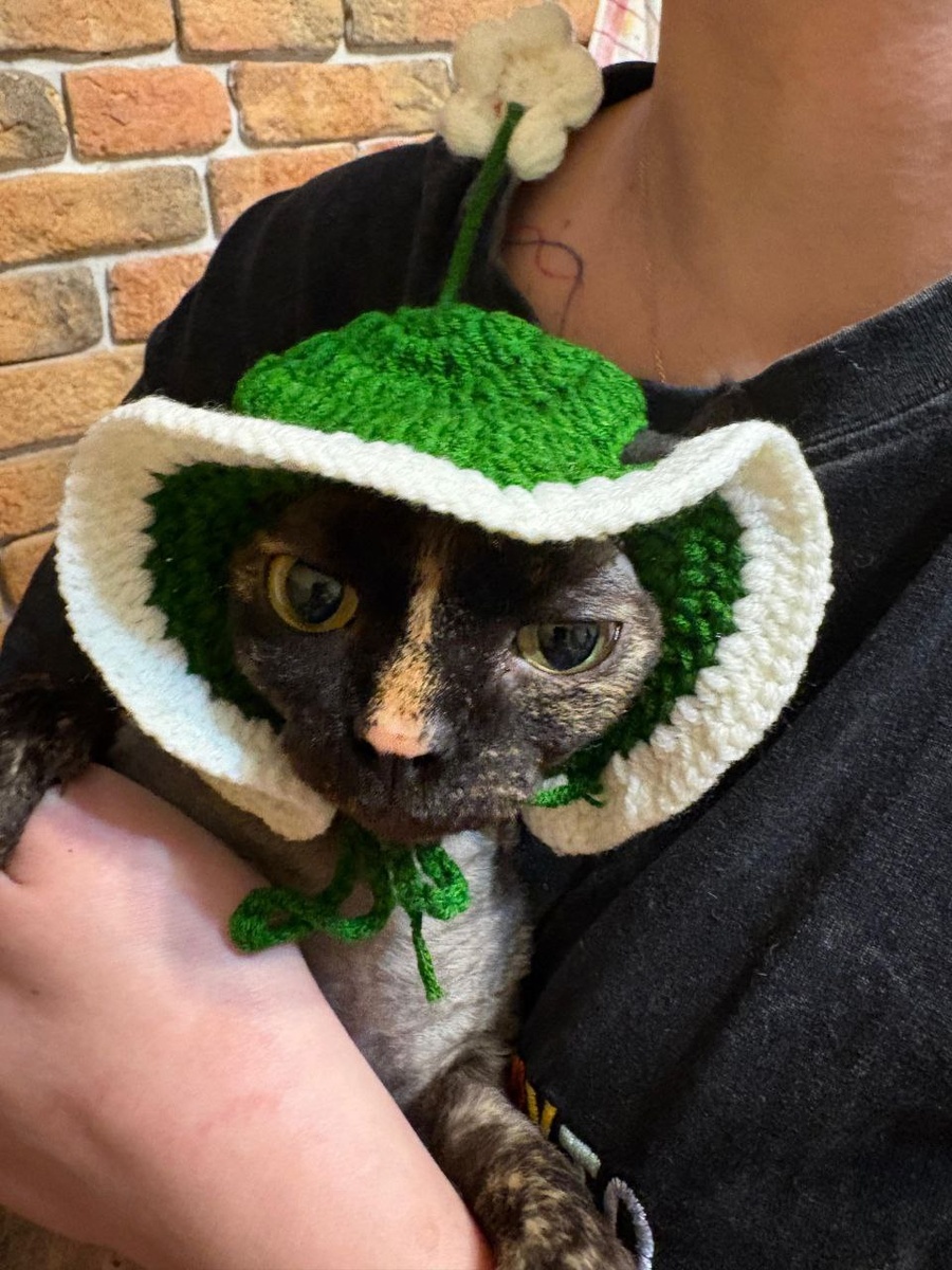 Дуняша, эксперт в области печати на 3D принтере