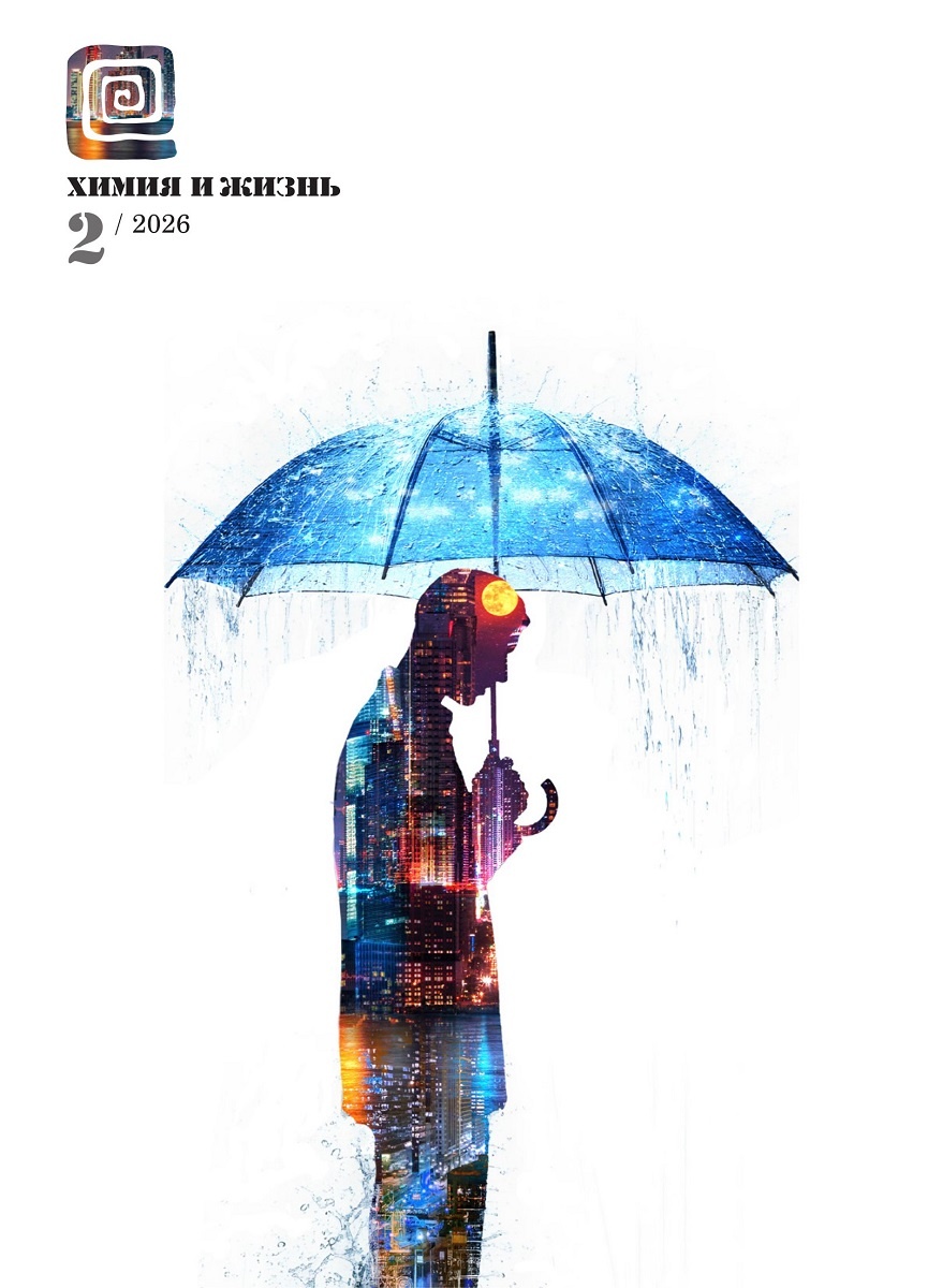 Дизайн обложки: Александр Кук