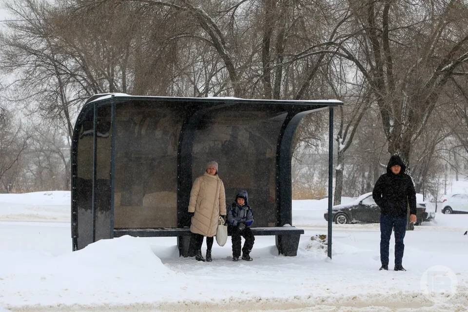   Фото: Дмитрий Рогулин / "Городские вести"