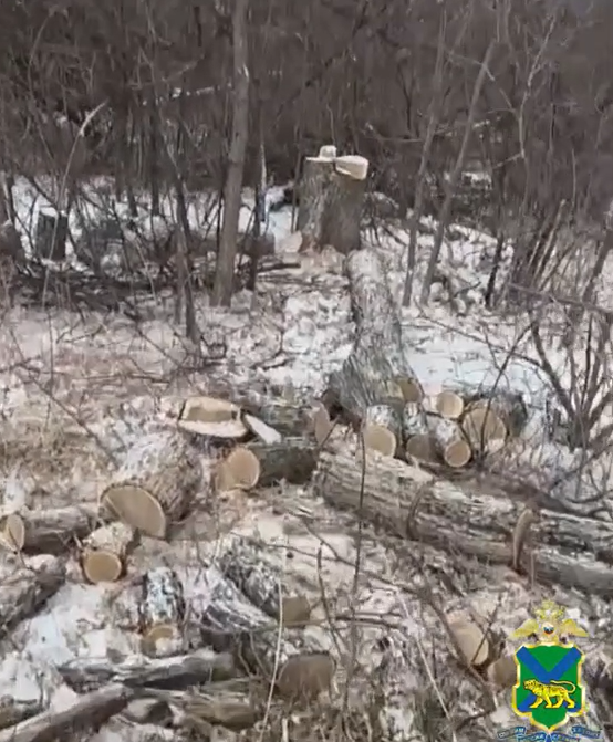    Источник фото: