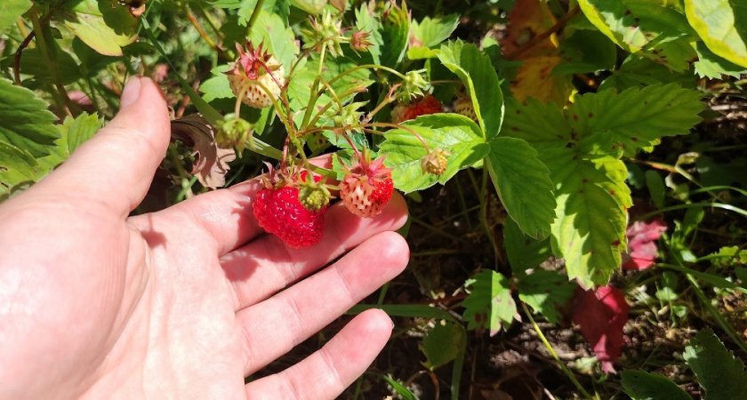    фото из архива редакции