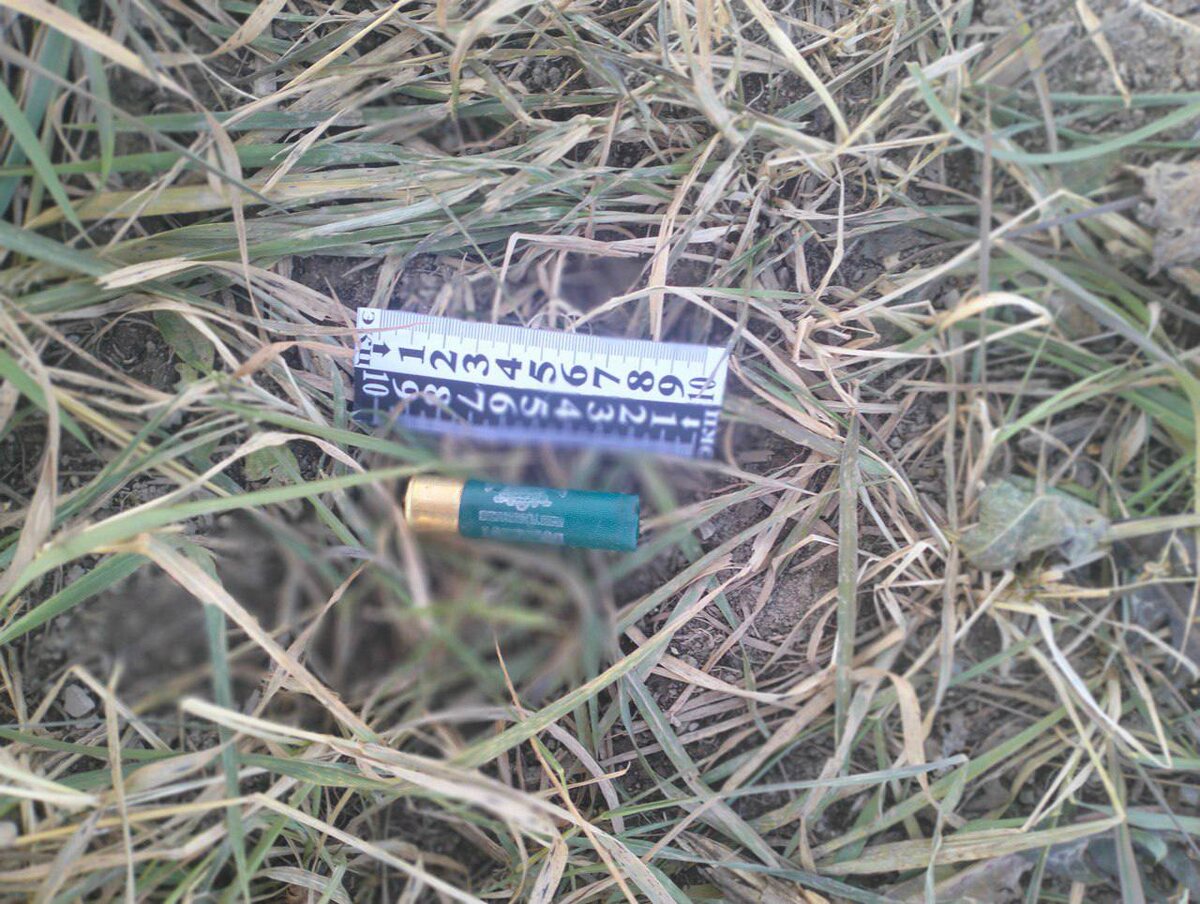    Следком Приморья убийство