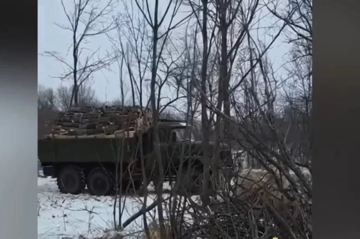    В Приморье задержали четырех человек за рубку леса на 6,7 миллиона рублей