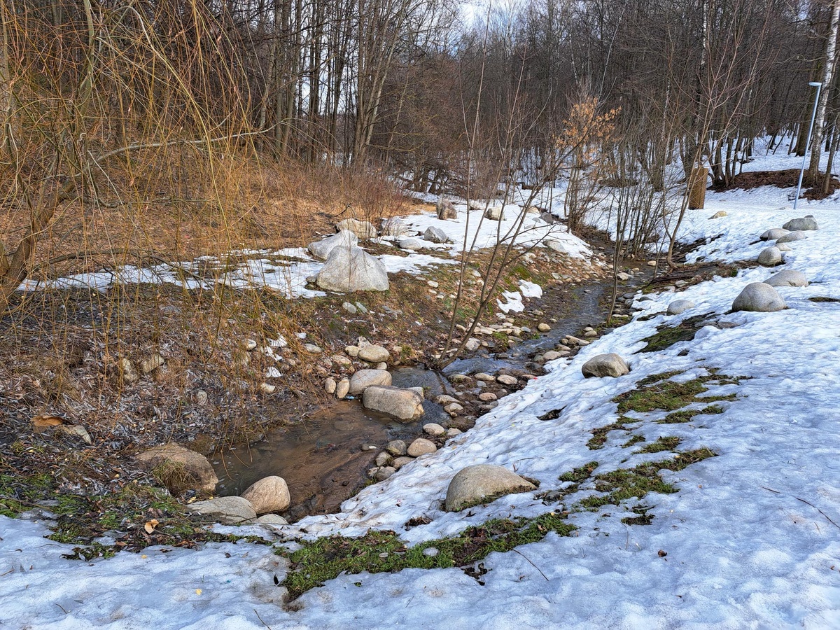Стало известно, когда в Новосибирске воздух прогреется до +15 градусов.  Фото: Фото: ФедералПресс / Вера Романескул
