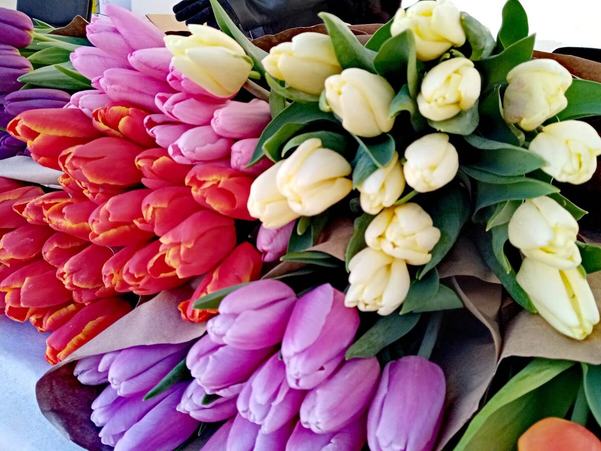 Фото: "Новости Витебска"